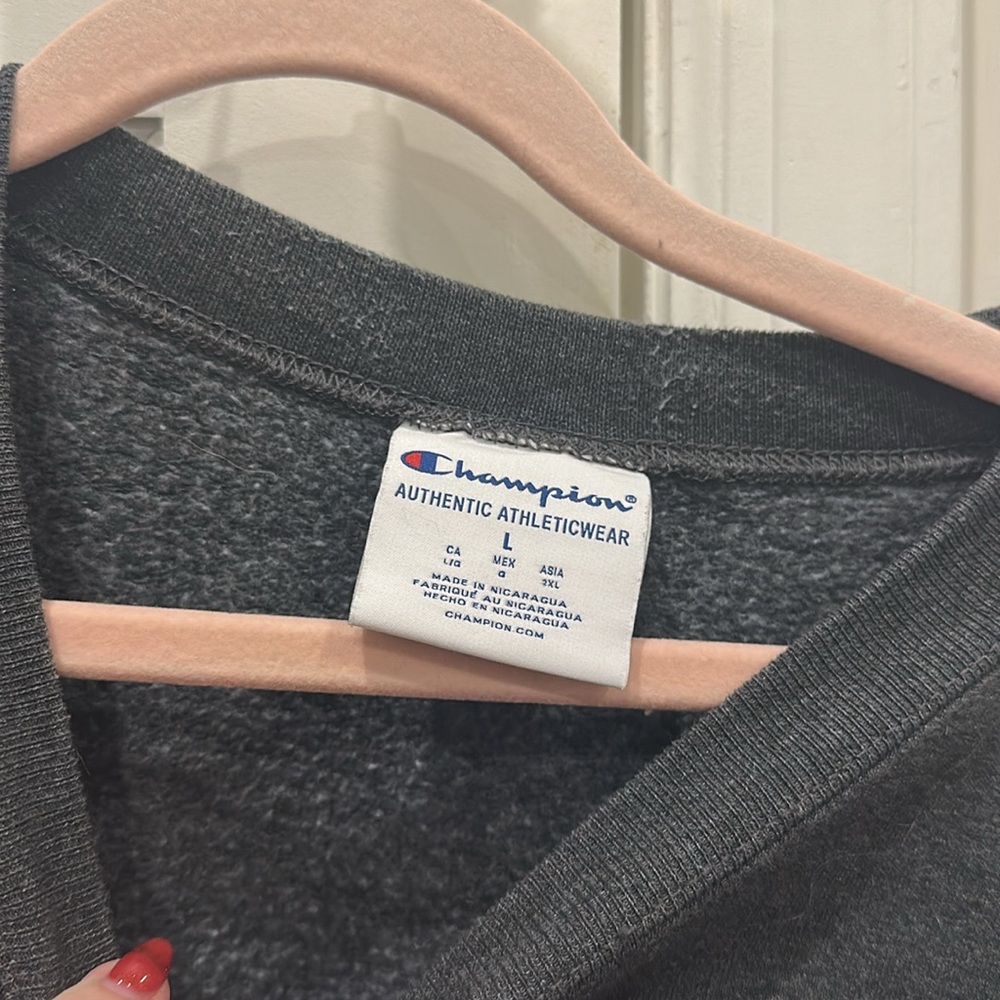 Champion Princeton University Crewneck Sweatshirt - Picture 3 of 4